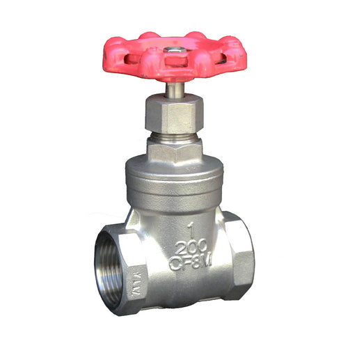 316 Stainless Steel Gate Valve BSP